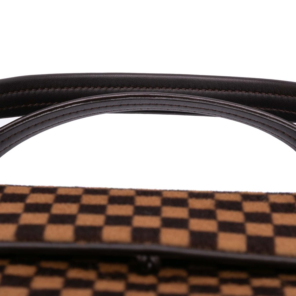 Louis Vuitton Damier Sauvage Lionne - Image 13
