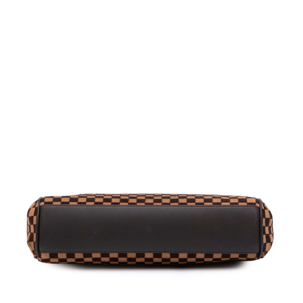 Louis Vuitton Damier Sauvage Lionne - Image 6
