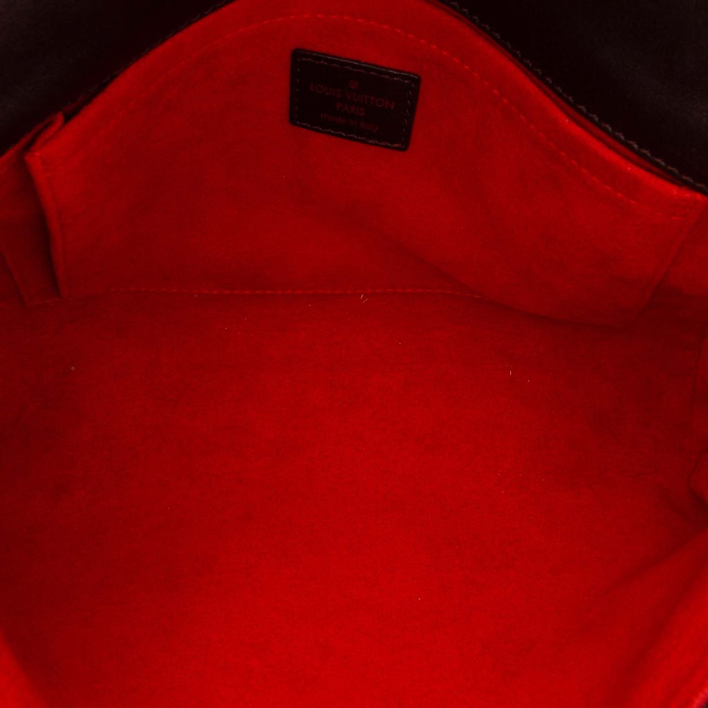 Louis Vuitton Damier Sauvage Lionne - 4