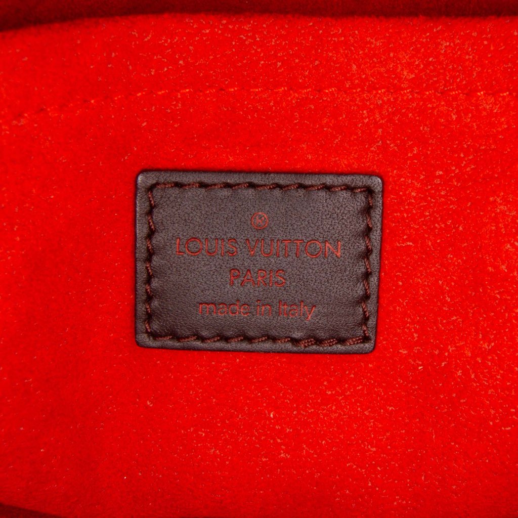 Louis Vuitton Damier Sauvage Lionne - Side view