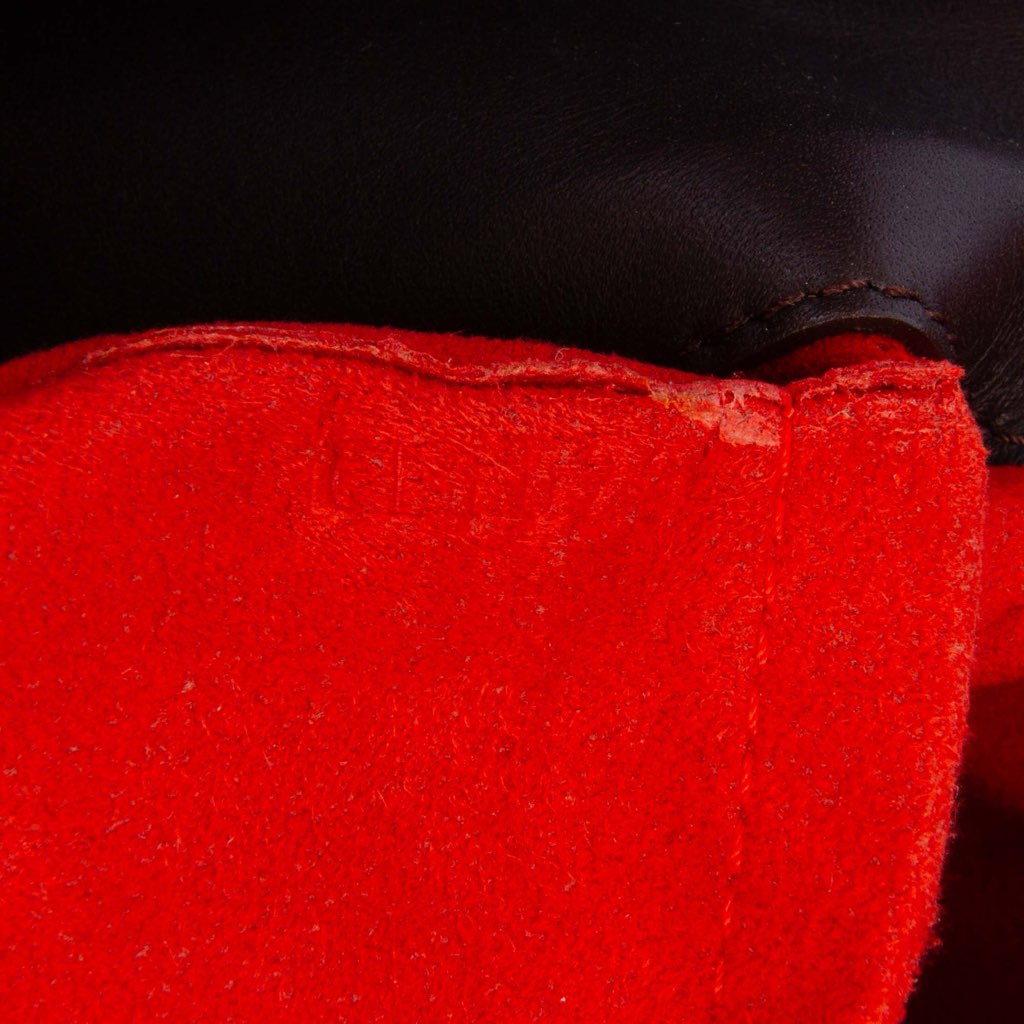 Louis Vuitton Damier Sauvage Lionne - Detail 1