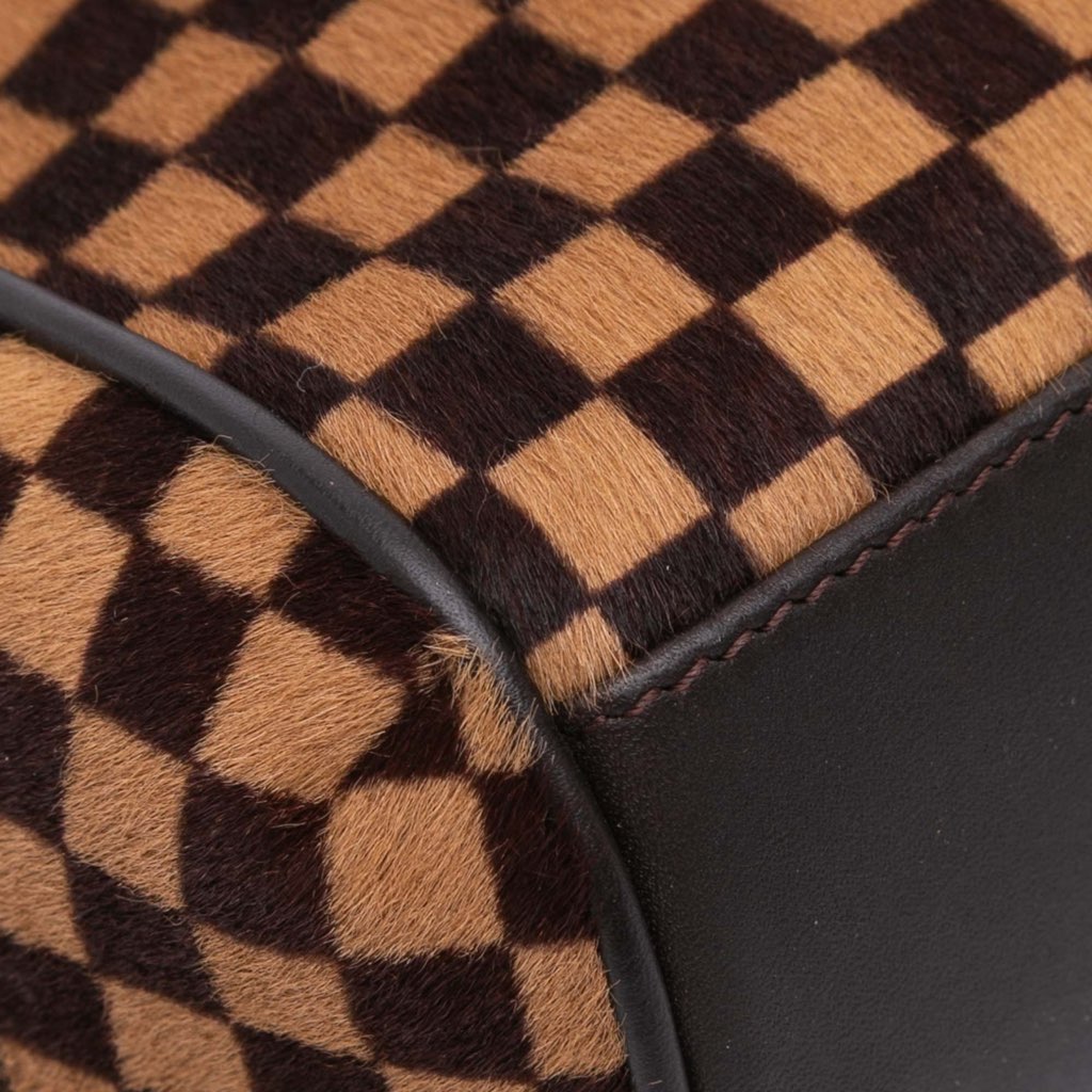 Louis Vuitton Damier Sauvage Lionne - Detail 2
