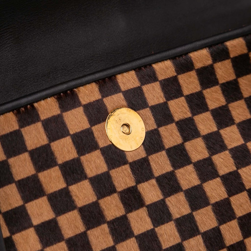 Louis Vuitton Damier Sauvage Lionne - Image 10