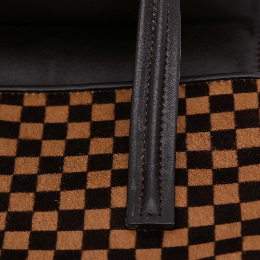 Louis Vuitton Damier Sauvage Lionne - Image 11