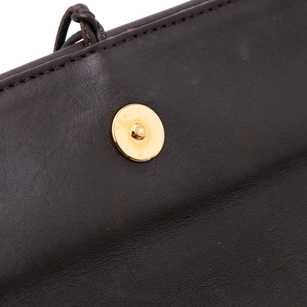 Louis Vuitton Damier Sauvage Lionne - Image 12