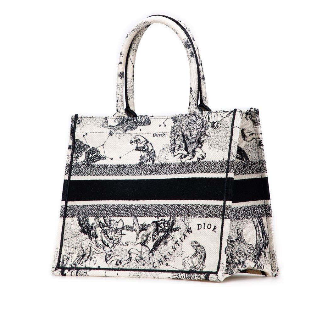 Dior Medium Canvas Embroidered Zodiac Toile De Jouy Book Tote - 2