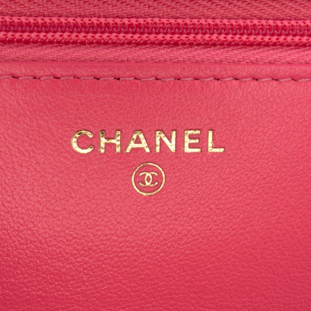 Chanel Quilted Lambskin Acrylic Coco Love Wallet on Chain - Side view