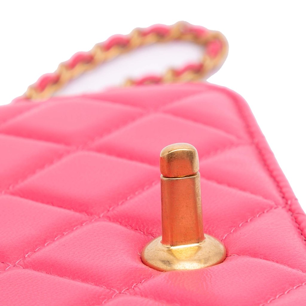 Chanel Quilted Lambskin Acrylic Coco Love Wallet on Chain - Image 11