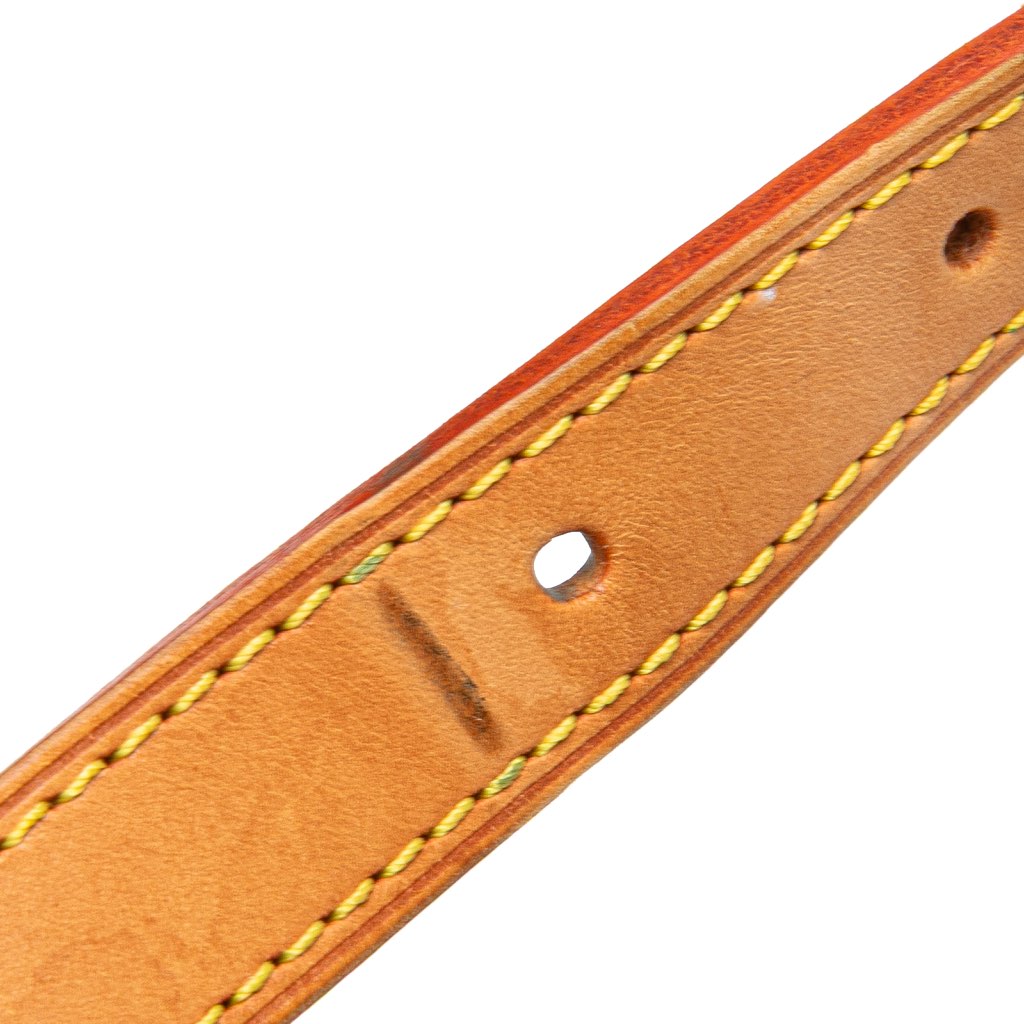 Louis Vuitton Monogram Multicolore Sologne - Image 11