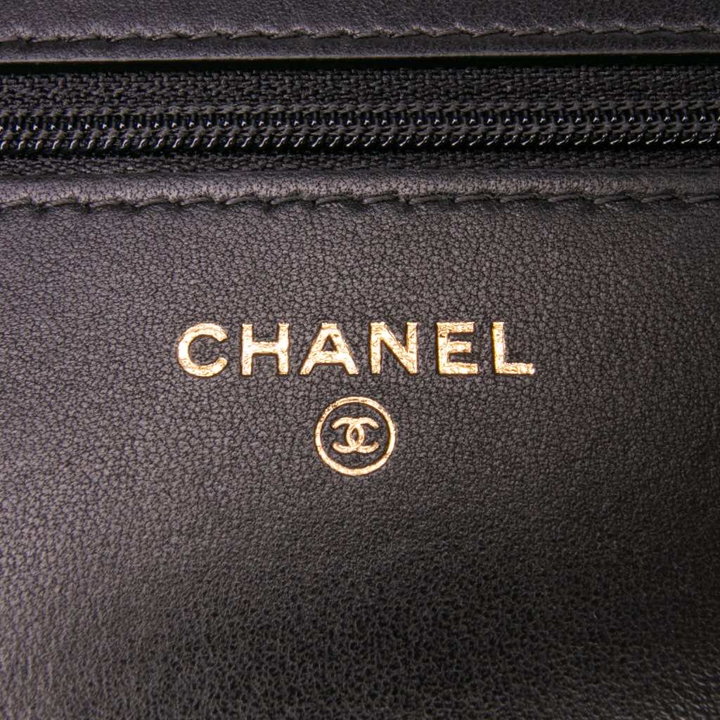 Chanel Houndstooth Tweed 19 Wallet On Chain - 5