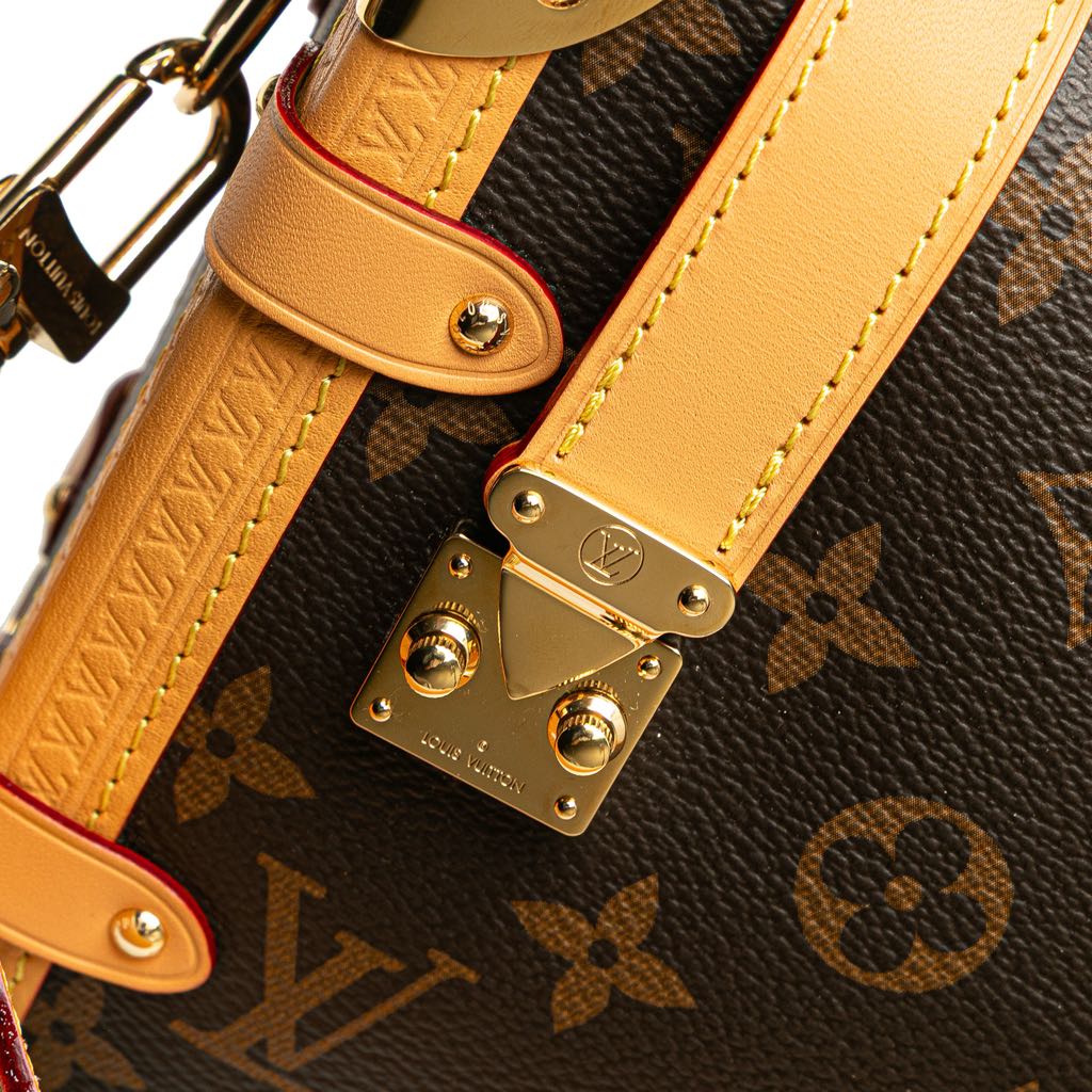 Louis Vuitton Monogram Side Trunk MM - Detail 2