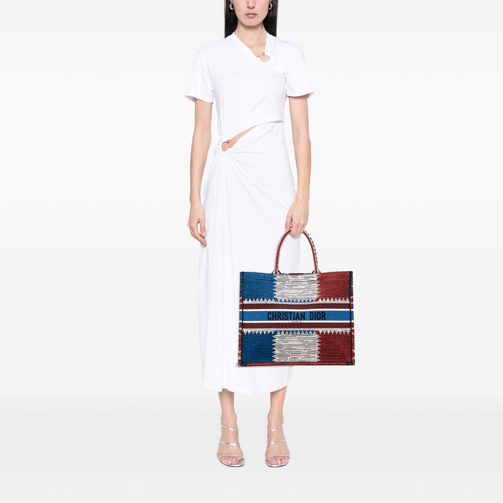 Dior Large Canvas French Flag Book Tote - Image 13