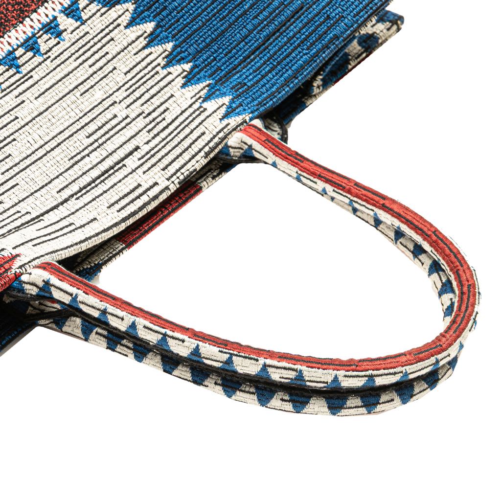 Dior Large Canvas French Flag Book Tote - Image 12