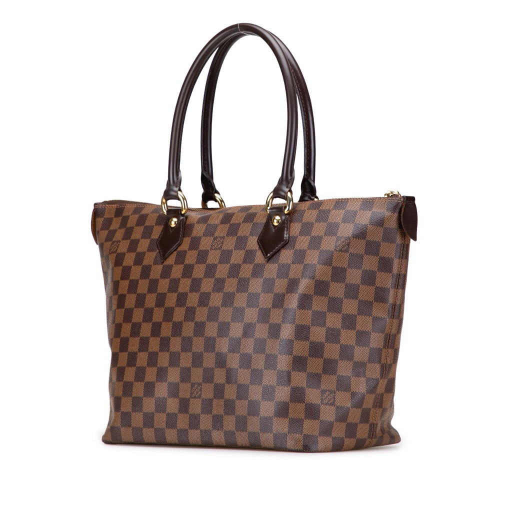 Louis Vuitton Damier Ebene Saleya MM - Back view