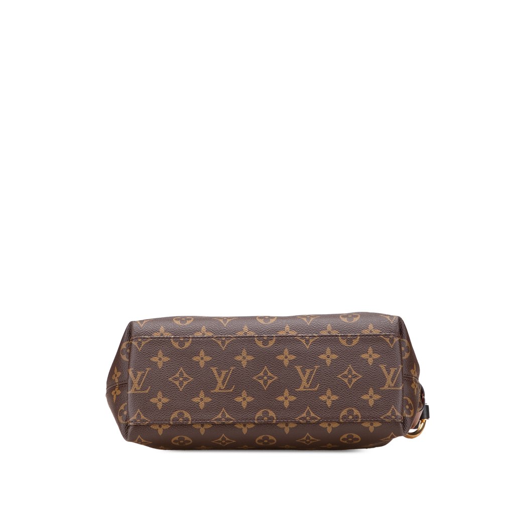 Louis Vuitton Monogram Tuileries Besace - 3