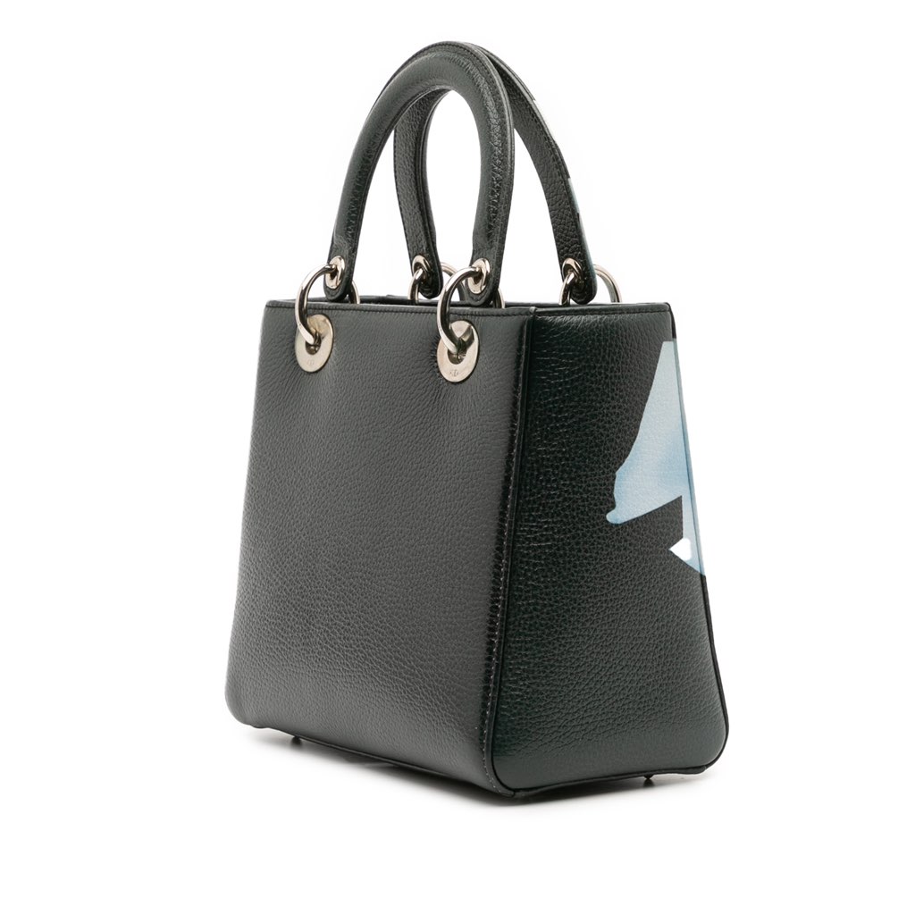 Dior Medium Deerskin Floral Print Lady Dior - Back view