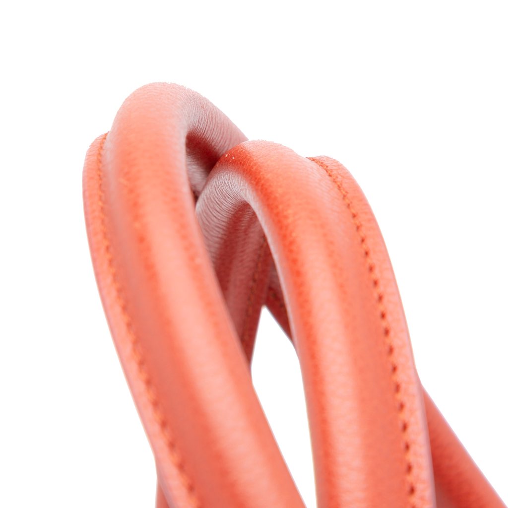 Chanel Tall Calfskin Executive Cerf Tote - Image 13