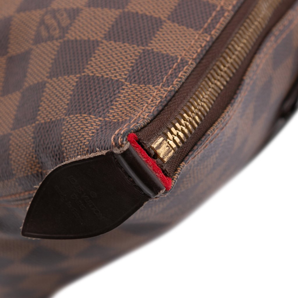 Louis Vuitton Damier Ebene Saleya MM - Image 10