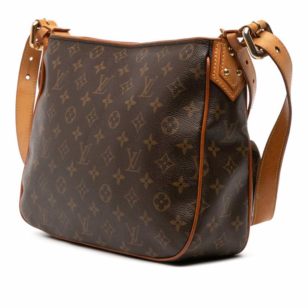 Louis Vuitton Monogram Hudson GM - Back view