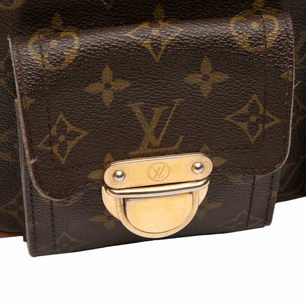 Louis Vuitton Monogram Hudson GM - Image 11