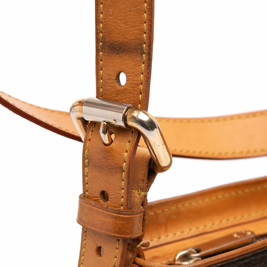 Louis Vuitton Monogram Hudson GM - Image 12