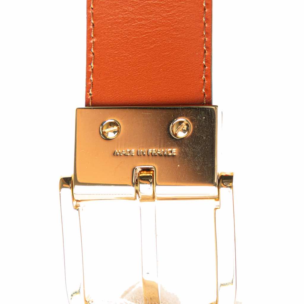 Louis Vuitton Epi Tilsitt Belt Bag - Image 10