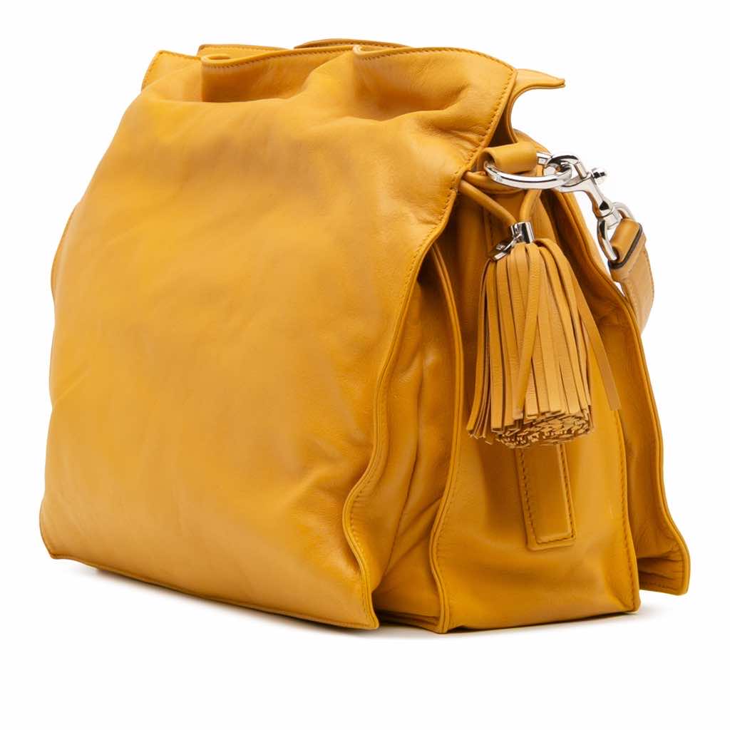 Loewe Nappa Flamenco Tassel 22 Crossbody - Back view