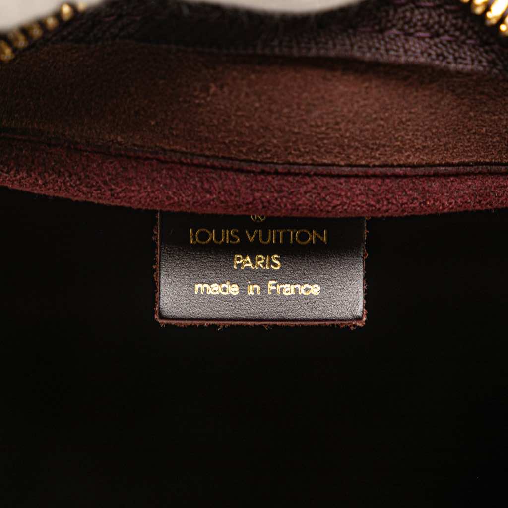 Louis Vuitton Taiga Kendall PM - 5