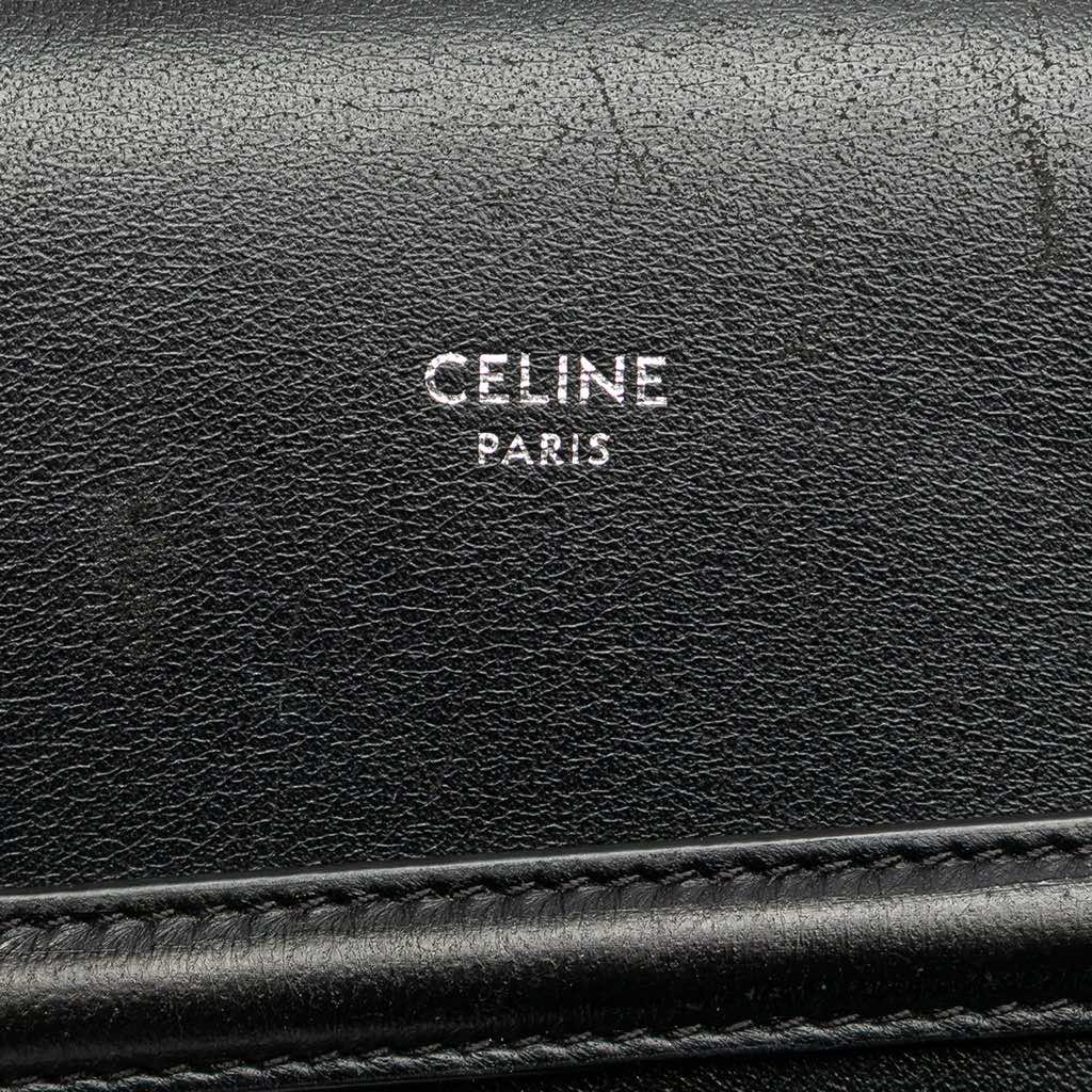 Celine Triomphe Coated Canvas Phone Pouch Flap Crossbody - Side view