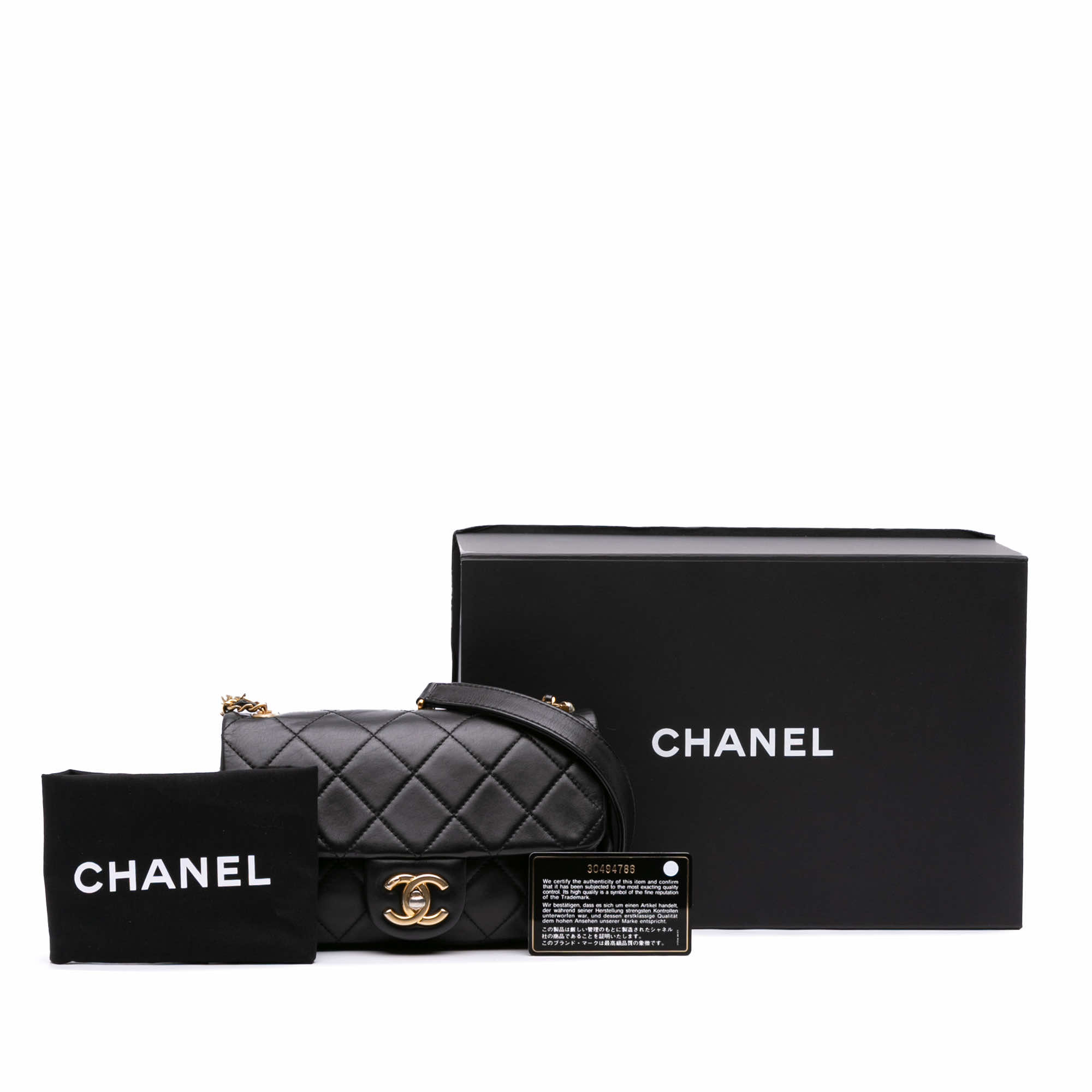 Chanel Mini Quilted Calfskin Crystal Pearls Chain Flap - Image 12