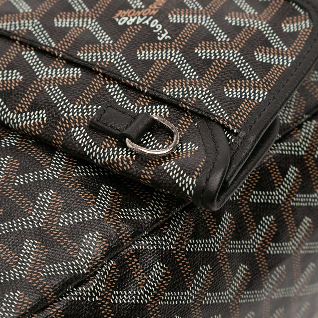 Goyard Goyardine Saint Louis PM - Detail 2