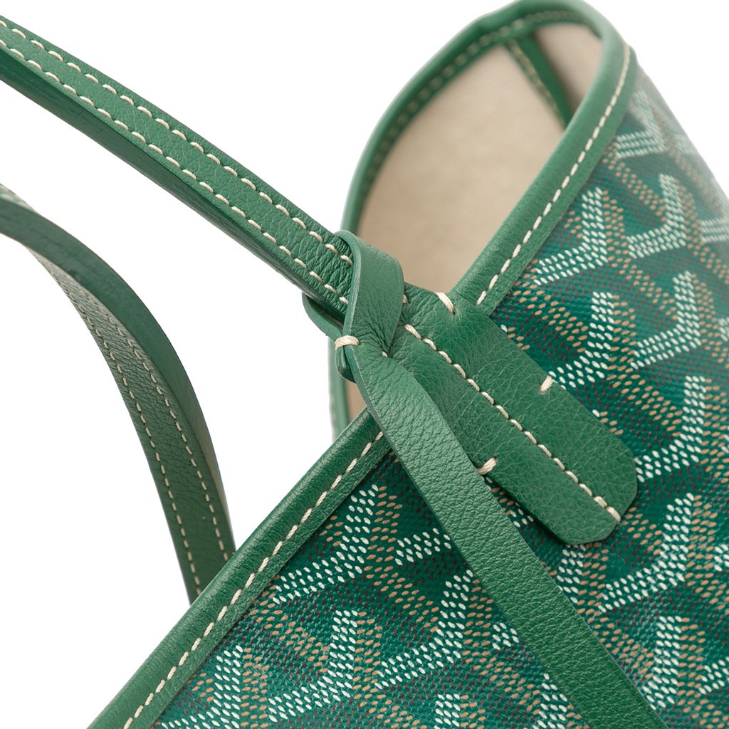 Goyard Goyardine Saint Louis PM - Image 11