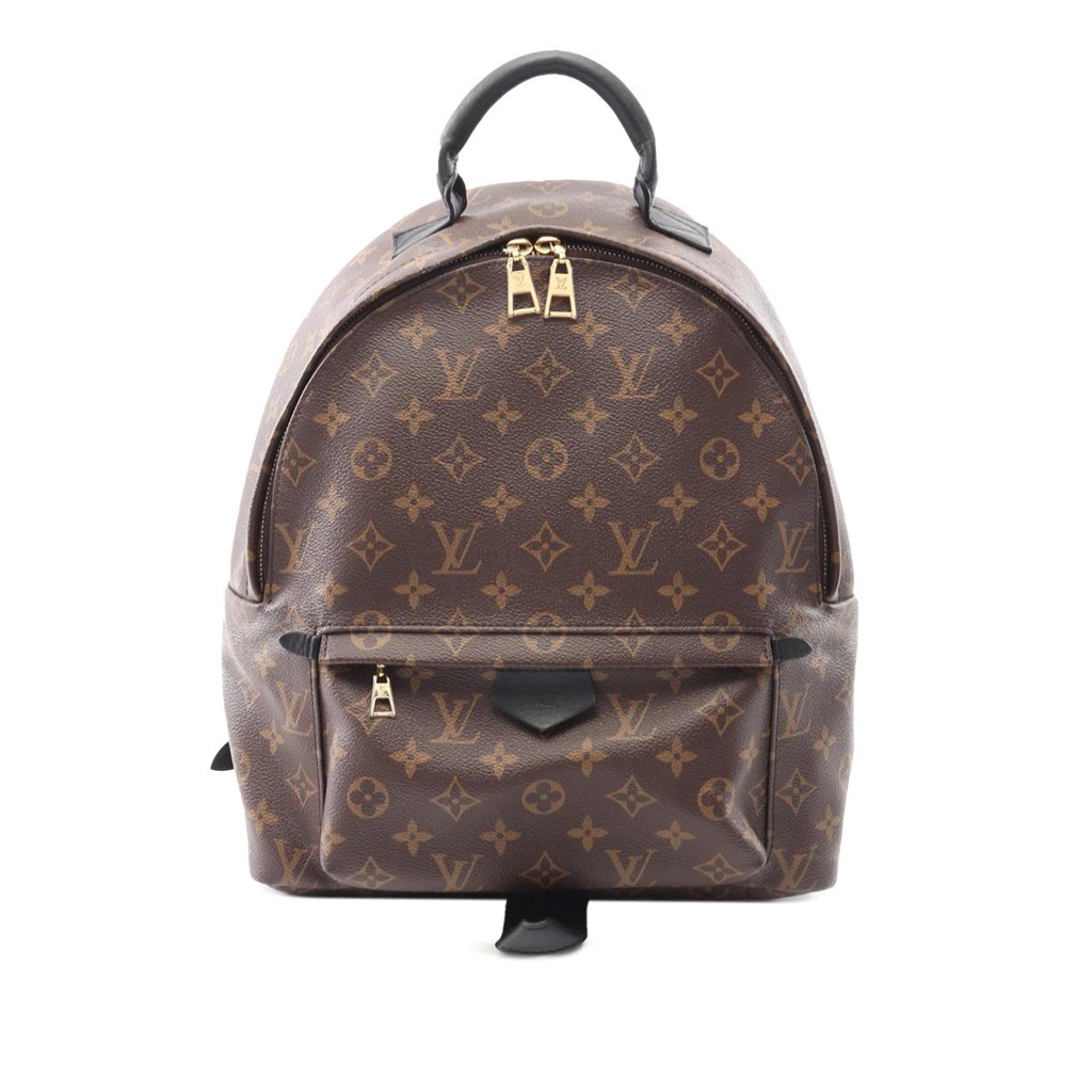 Louis Vuitton Monogram Palm Springs MM