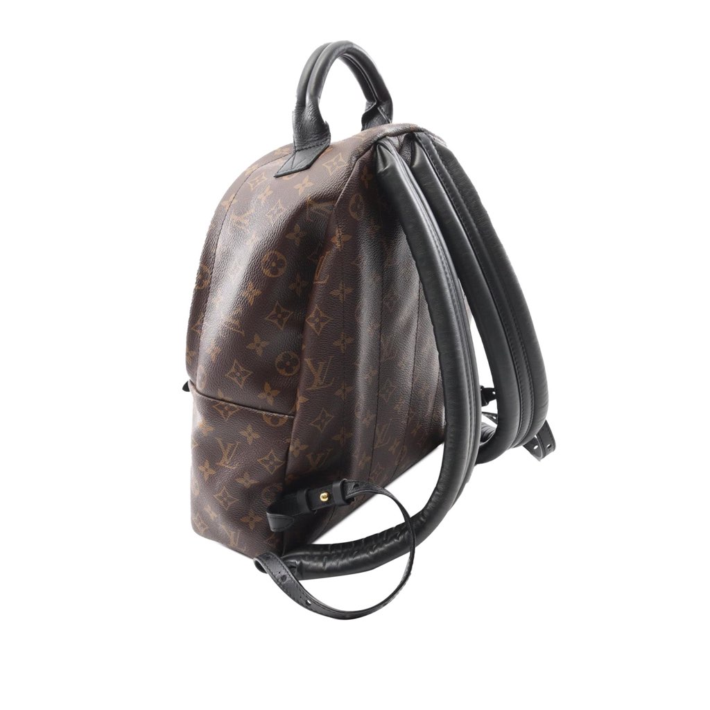 Louis Vuitton Monogram Palm Springs MM - Back view