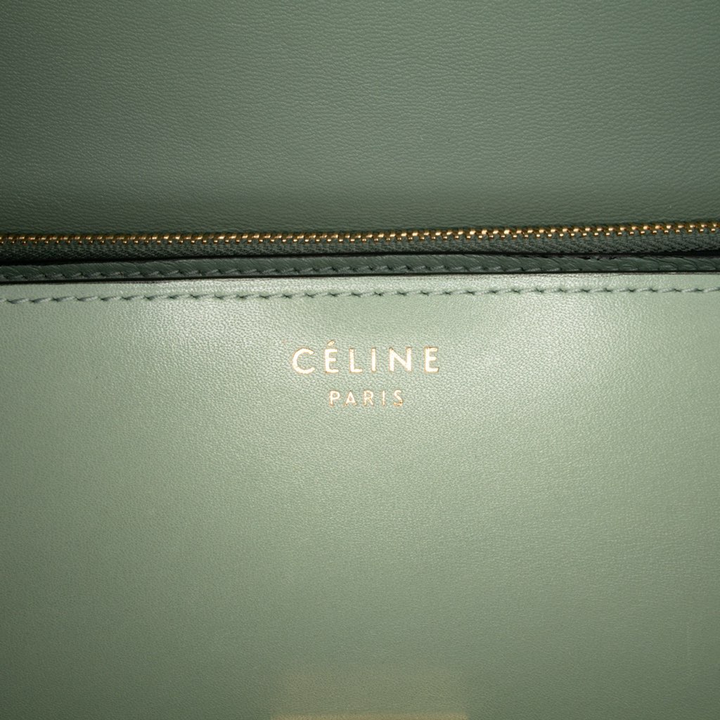 Celine Medium Calfskin Classic Box - 5