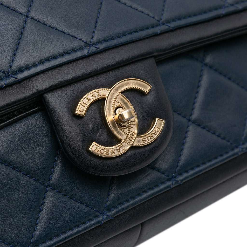 Chanel Medium Bicolor Calfskin Graphic Flap - Image 10
