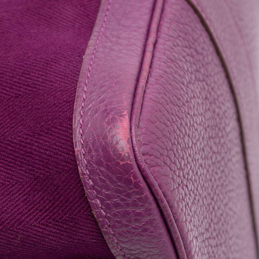 Hermès Toile and Negonda Garden Party 36 - Image 13