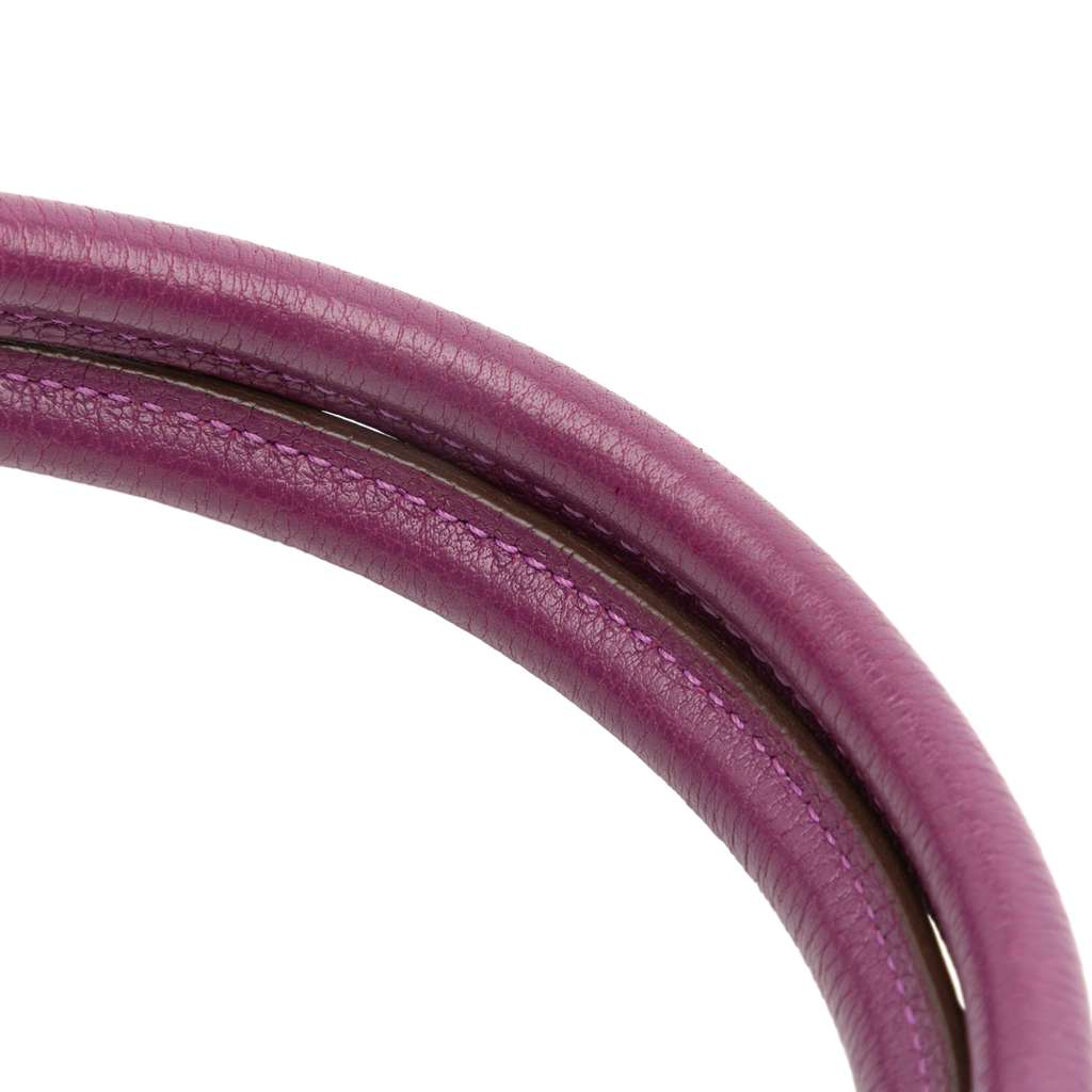 Hermès Toile and Negonda Garden Party 36 - Image 14