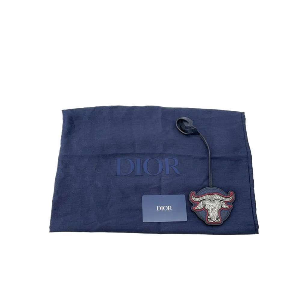 Dior Shawn Stussy Grained Calfskin Year of the Ox Sling Bag - Image 14