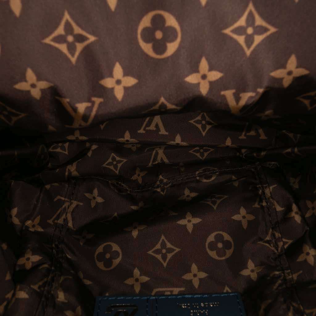 Louis Vuitton Monogram Econyl Pillow Mini Palm Springs - 4