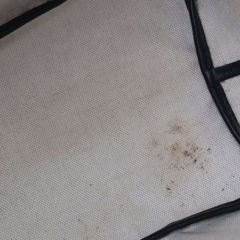 Goyard Goyardine Saint Louis PM - 5