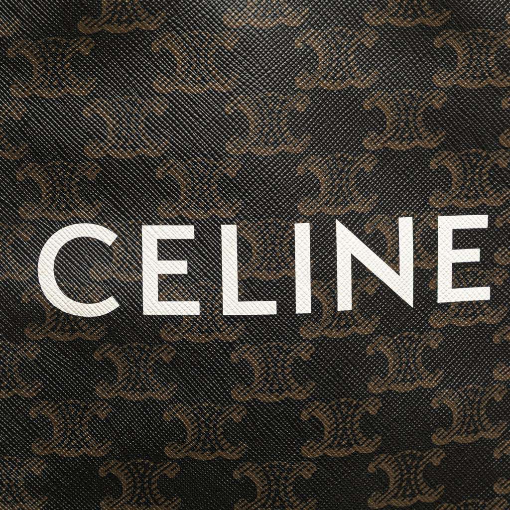 Celine Mini Triomphe Coated Canvas Vertical Cabas Satchel - 5