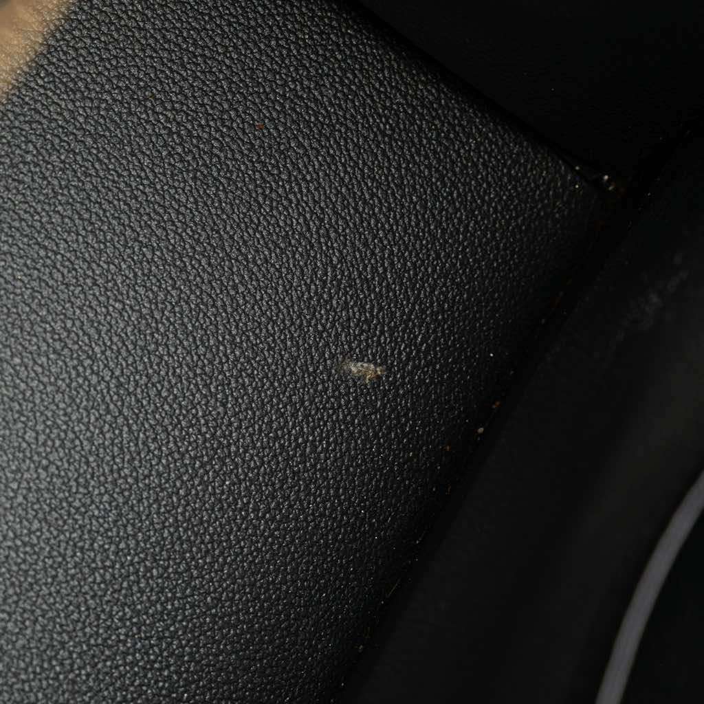 Louis Vuitton Epi Riviera - Detail 1