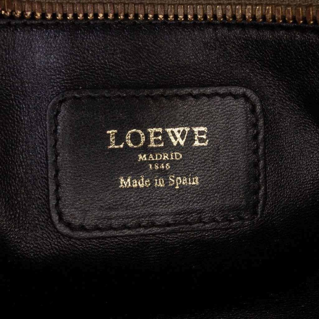 Loewe Metallic Goatskin Amazona 28 - 5