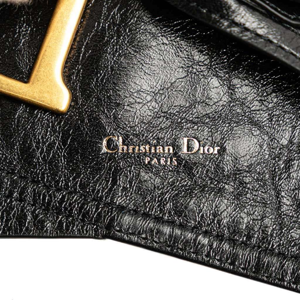 Dior Crinkled Lambskin Saddle Belt Bag - Detail 1