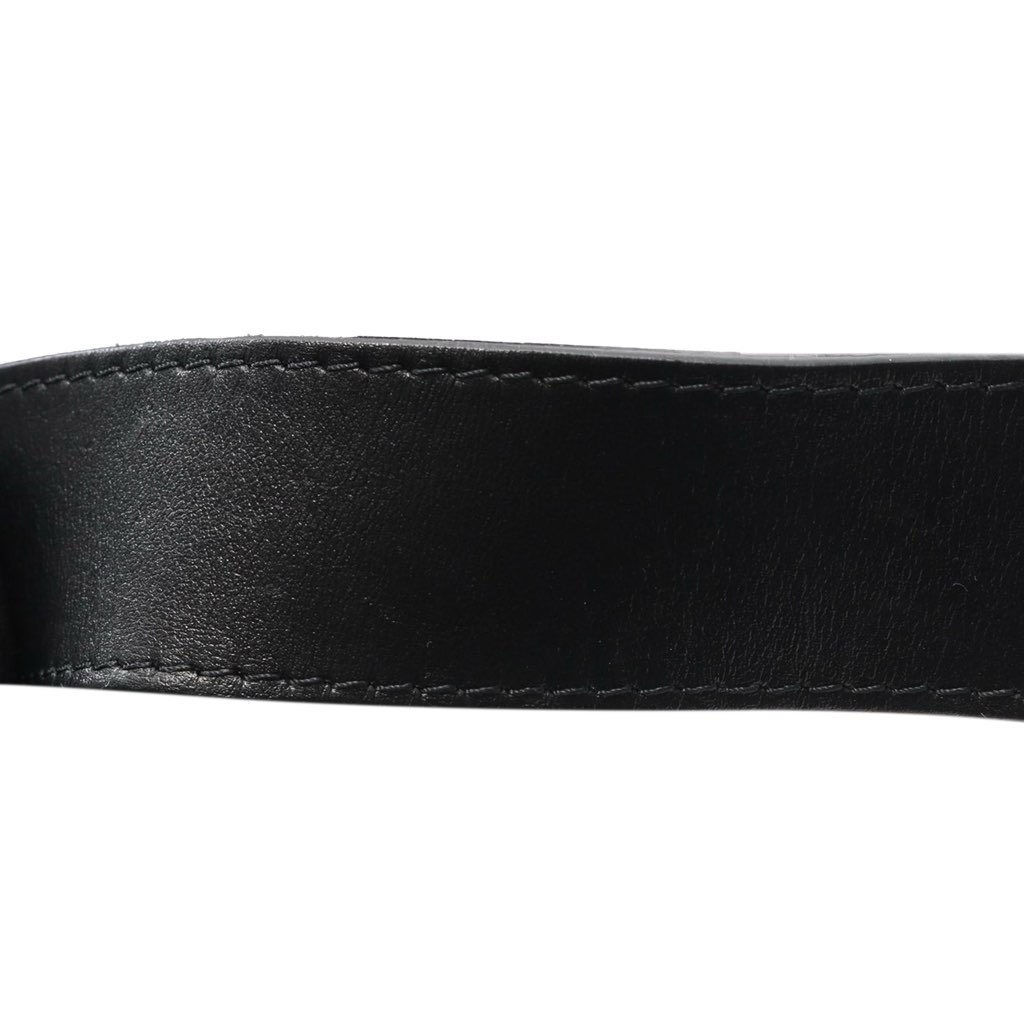 Louis Vuitton Monogram Taurillon Uniformes Solar Ray Soft Pochette Volga Belt Bag - Image 13