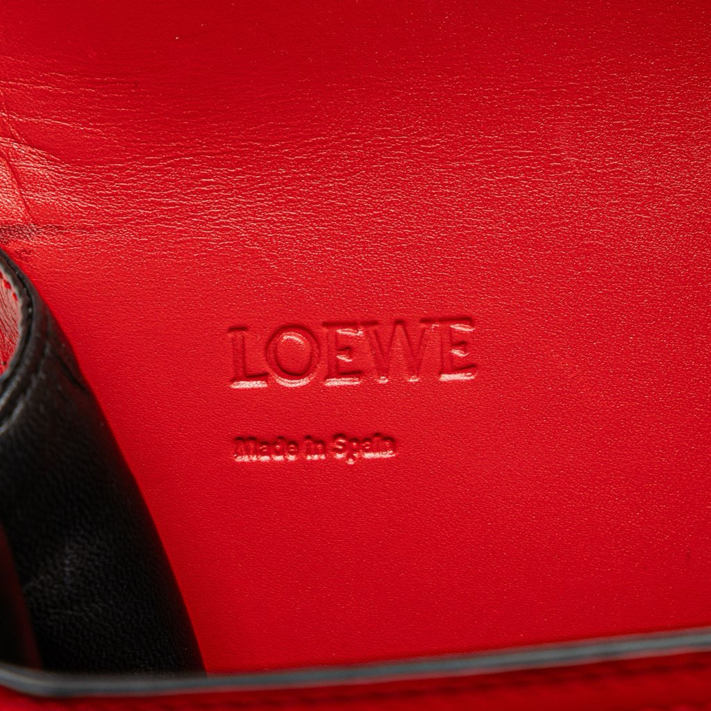 Loewe Small Leather Barcelona Crossbody - 5