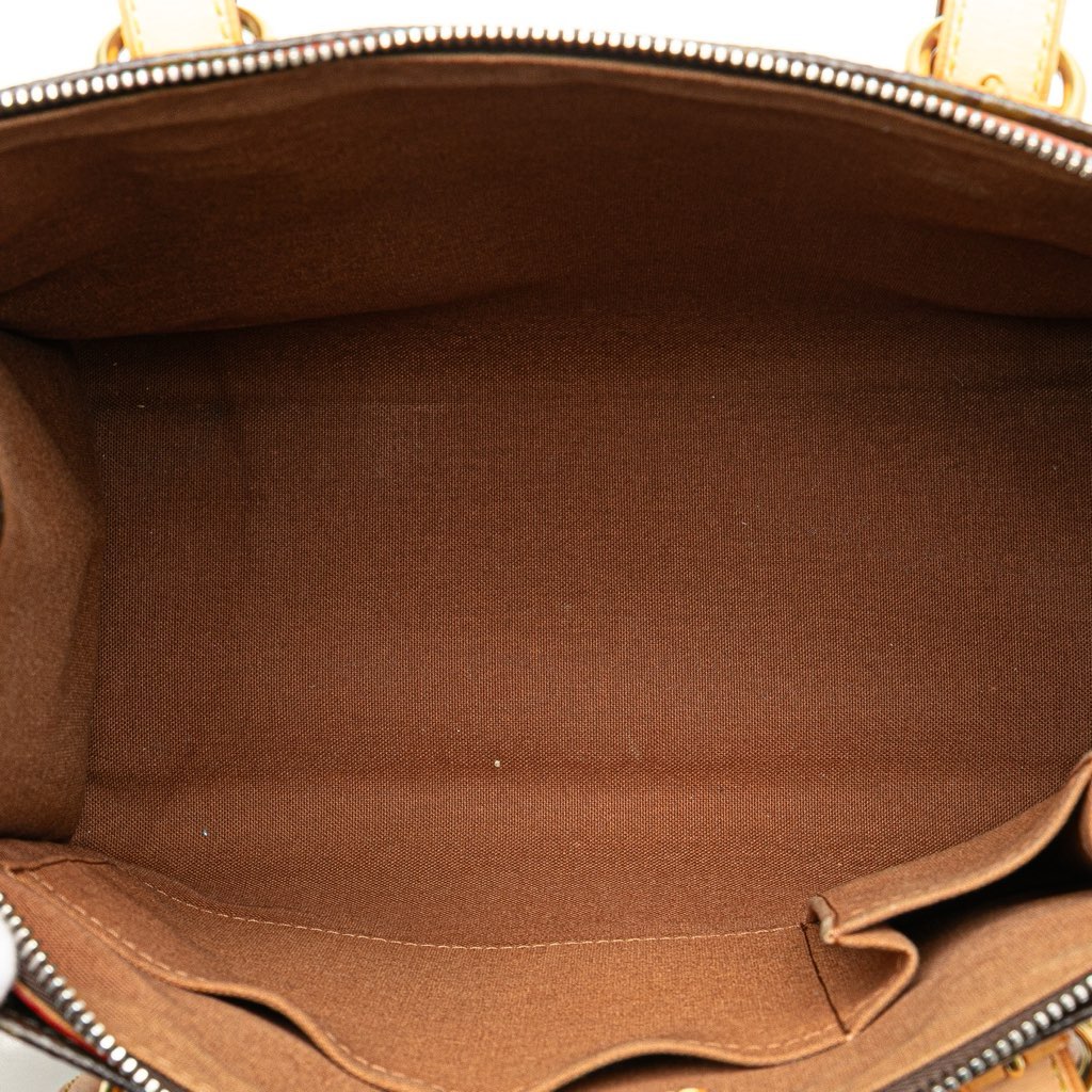 Louis Vuitton Monogram Popincourt Haut - 4