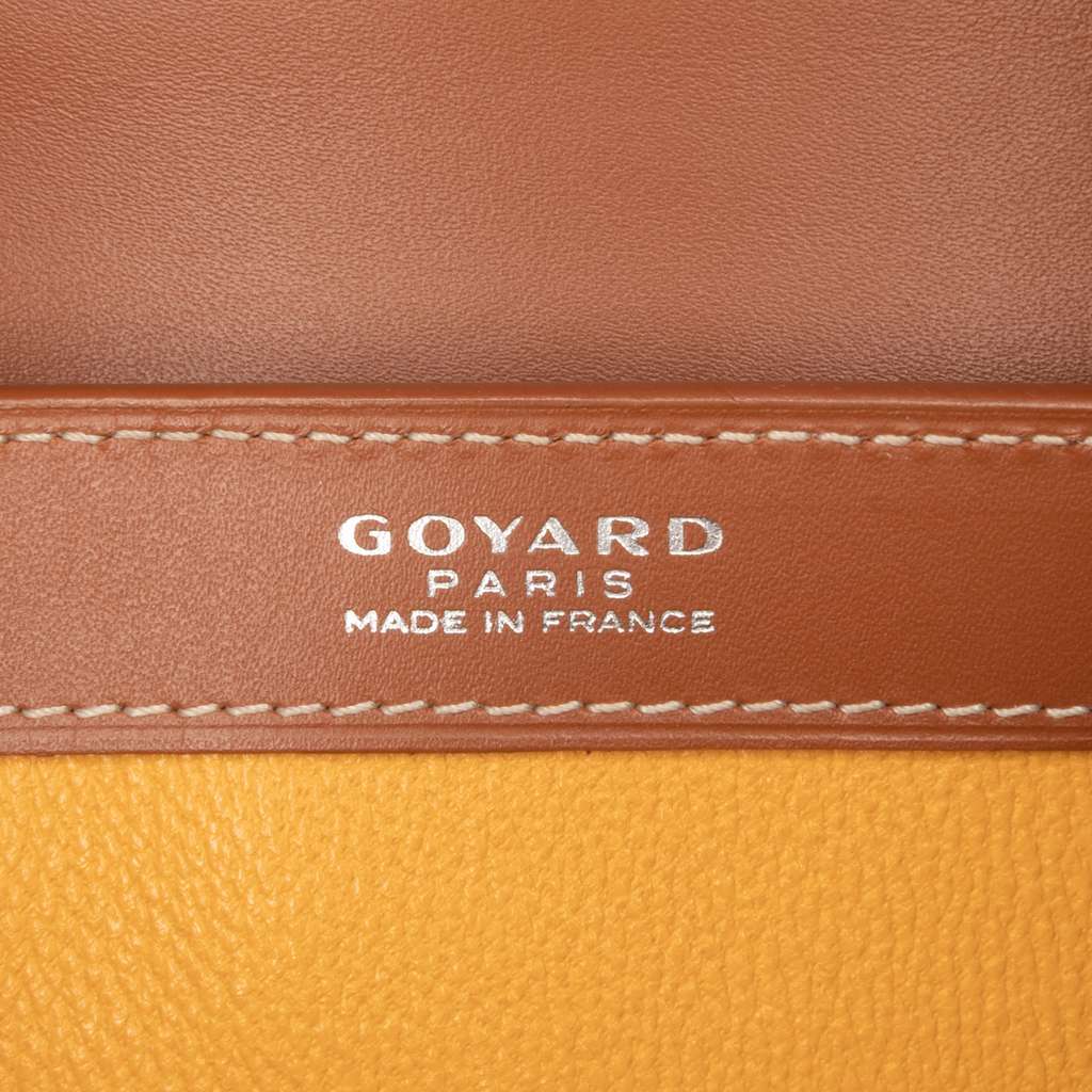 Goyard Leather Saigon Structured PM - 5