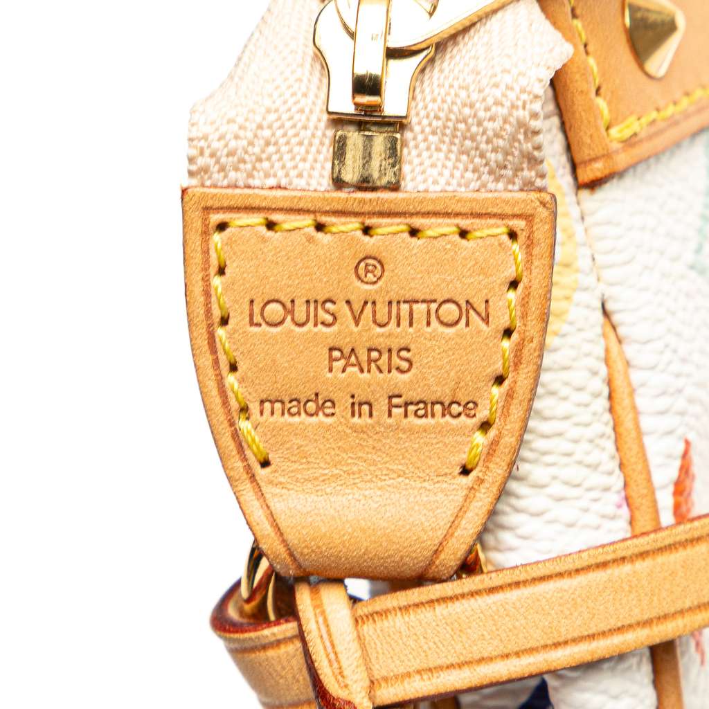 Louis Vuitton Monogram Multicolore Pochette Accessoires - 5